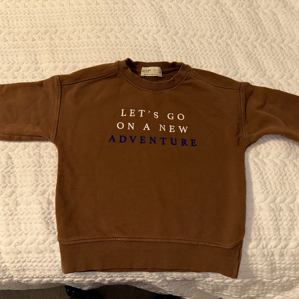 Brown ZARA sweatshirt